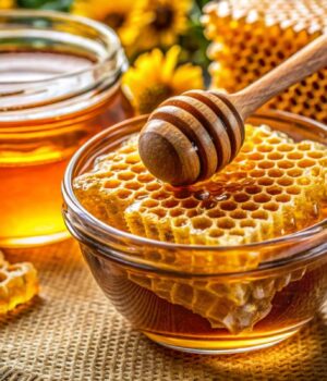 В-Україні-фіксують-дефіцит-меду:-експерт-розповів,-чим-це-загрожує