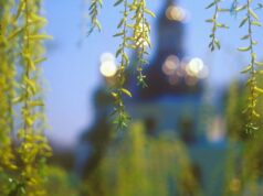 18 квітня: Світла субота – що несуть із церкви додому та головна заборона для чоловіків 18-квітня:-Світла-субота-–-що-несуть-із-церкви-додому-та-головна-заборона-для-чоловіків