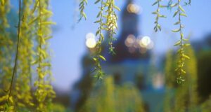 18 квітня: Світла субота – що несуть із церкви додому та головна заборона для чоловіків 18-квітня:-Світла-субота-–-що-несуть-із-церкви-додому-та-головна-заборона-для-чоловіків