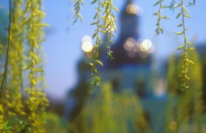 18 квітня: Світла субота – що несуть із церкви додому та головна заборона для чоловіків 18-квітня:-Світла-субота-–-що-несуть-із-церкви-додому-та-головна-заборона-для-чоловіків