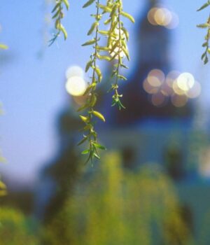 18-квітня:-Світла-субота-–-що-несуть-із-церкви-додому-та-головна-заборона-для-чоловіків