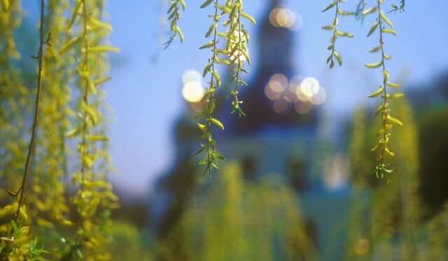 18 квітня: Світла субота – що несуть із церкви додому та головна заборона для чоловіків 18-квітня:-Світла-субота-–-що-несуть-із-церкви-додому-та-головна-заборона-для-чоловіків