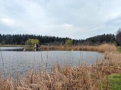 Доброгостів: розслабляючий похід до мальовничого озера з Трускавця Доброгостів:-розслабляючий-похід-до-мальовничого-озера-з-Трускавця