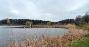 Доброгостів: розслабляючий похід до мальовничого озера з Трускавця Доброгостів:-розслабляючий-похід-до-мальовничого-озера-з-Трускавця