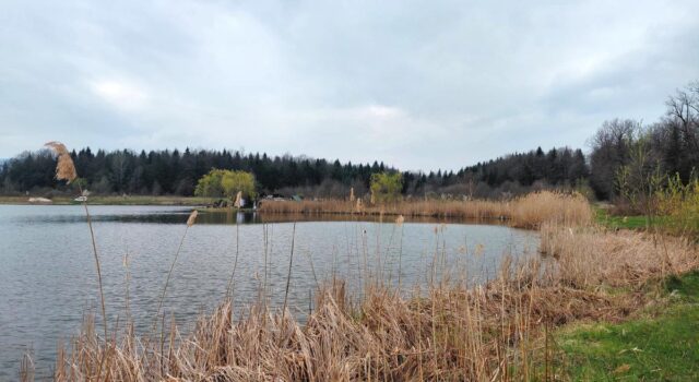 Доброгостів: розслабляючий похід до мальовничого озера з Трускавця Доброгостів:-розслабляючий-похід-до-мальовничого-озера-з-Трускавця
