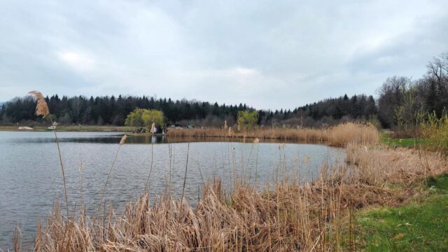 Доброгостів: розслабляючий похід до мальовничого озера з Трускавця Доброгостів:-розслабляючий-похід-до-мальовничого-озера-з-Трускавця