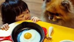 Переможниця Sony World Photography Awards 2026: Сітлалі Фабіан і її проєкт про корінних жінок Мексики Найкращі-фото-sony-world-photography-awards