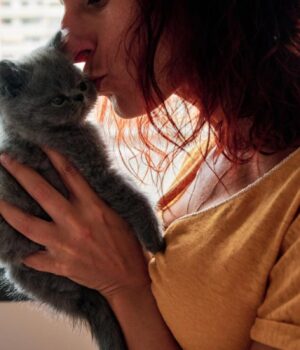 Як-довго-кіт-може-памʼятати-свого-господаря:-науковці-провели-дослідження