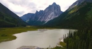 Учені знайшли серед скель найдавніші сліди тварин на Землі: їм майже 900 млн років Учені-знайшли-серед-скель-найдавніші-сліди-тварин-на-Землі:-їм-майже-900-млн-років