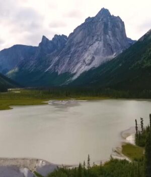 Учені-знайшли-серед-скель-найдавніші-сліди-тварин-на-Землі:-їм-майже-900-млн-років