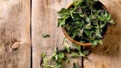 Дикорослі рослини: нові гастрономічні можливості весни в Україні 5-весняних-дикорослих-трав,-які-ви-можете-з’їсти