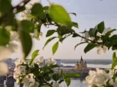 20 квітня: церковне свято сьогодні, початок Провідного тижня – що не можна робити до обіду 20-квітня:-церковне-свято-сьогодні,-початок-Провідного-тижня-–-що-не-можна-робити-до-обіду