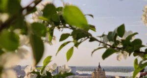 20 квітня: церковне свято сьогодні, початок Провідного тижня – що не можна робити до обіду 20-квітня:-церковне-свято-сьогодні,-початок-Провідного-тижня-–-що-не-можна-робити-до-обіду