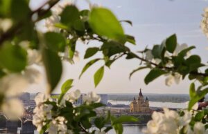 20 квітня: церковне свято сьогодні, початок Провідного тижня – що не можна робити до обіду 20-квітня:-церковне-свято-сьогодні,-початок-Провідного-тижня-–-що-не-можна-робити-до-обіду