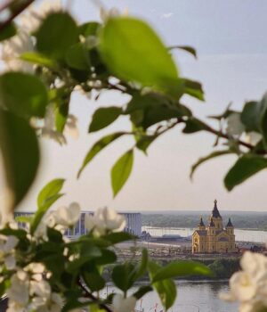 20-квітня:-церковне-свято-сьогодні,-початок-Провідного-тижня-–-що-не-можна-робити-до-обіду