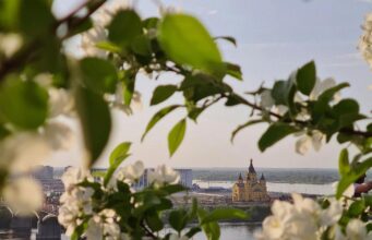 20 квітня: церковне свято сьогодні, початок Провідного тижня – що не можна робити до обіду 20-квітня:-церковне-свято-сьогодні,-початок-Провідного-тижня-–-що-не-можна-робити-до-обіду