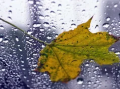 Погода на 20 квітня: Україну накрило похолодання з дощами Погода на 20 квітня: Україну накрило похолодання з дощами