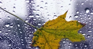 Погода на 20 квітня: Україну накрило похолодання з дощами Погода на 20 квітня: Україну накрило похолодання з дощами