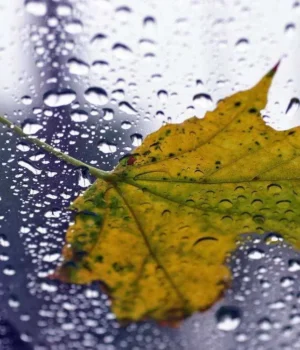 Погода на 20 квітня: Україну накрило похолодання з дощами