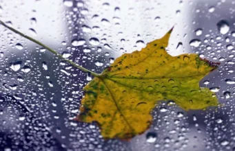 Погода на 20 квітня: Україну накрило похолодання з дощами Погода на 20 квітня: Україну накрило похолодання з дощами