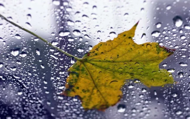 Погода на 20 квітня: Україну накрило похолодання з дощами Погода на 20 квітня: Україну накрило похолодання з дощами