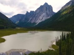 Учені знайшли серед скель найдавніші сліди тварин на Землі: їм майже 900 млн років Учені-знайшли-серед-скель-найдавніші-сліди-тварин-на-Землі:-їм-майже-900-млн-років