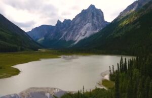 Учені знайшли серед скель найдавніші сліди тварин на Землі: їм майже 900 млн років Учені-знайшли-серед-скель-найдавніші-сліди-тварин-на-Землі:-їм-майже-900-млн-років