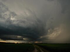 Загадка труни, що “впала з неба”: через 127 років вчені розкрили таємницю останків Загадка-труни,-що-“впала-з-неба”:-через-127-років-вчені-розкрили-таємницю-останків