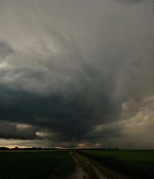 Загадка-труни,-що-“впала-з-неба”:-через-127-років-вчені-розкрили-таємницю-останків