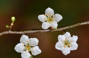 22 квітня погода в Україні покращиться, але ненадовго 22-квітня-погода-в-Україні-покращиться,-але-ненадовго