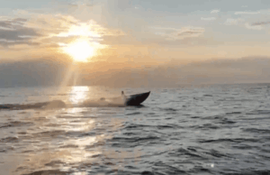 США відмовляються копіювати Україну у війні морських дронів: яка причина США-відмовляються-копіювати-Україну-у-війні-морських-дронів:-яка-причина