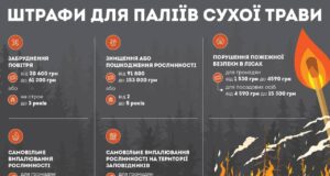 Загроза здоров’ю та екології: наслідки спалювання сухої рослинності Спалювати-суху-траву-–-це-злочин-перед-природою,-сусідами-і-самим-собою!