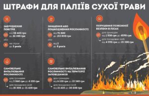 Загроза здоров’ю та екології: наслідки спалювання сухої рослинності Спалювати-суху-траву-–-це-злочин-перед-природою,-сусідами-і-самим-собою!