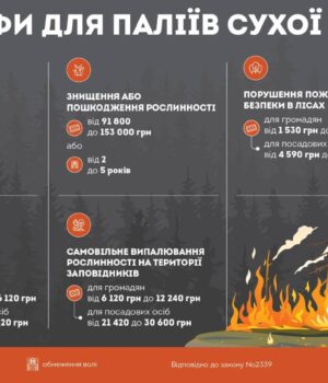 Спалювати-суху-траву-–-це-злочин-перед-природою,-сусідами-і-самим-собою!