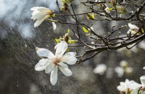 Дощитиме, похолоднішає і здійметься вітер: 23 квітня погода погіршиться по всій Україні Дощитиме,-похолоднішає-і-здійметься-вітер:-23-квітня-погода-погіршиться-по-всій-Україні