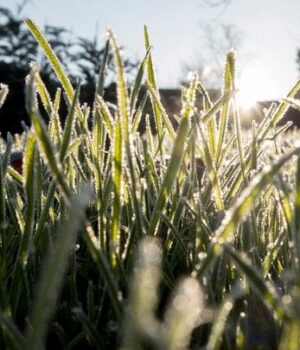 Україну-накриває-ще одна-небезпечна-стихія,-окрім-заморозків:-де “розгуляється”-негода-(мапа)