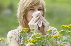 Перехресна алергія: чому фрукти викликають реакції у людей з алергією на пилок Перехресна-алергія-–-чому-організм-реагує-на-фрукти-через-пилок-рослин