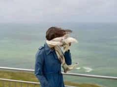 Штормовий вітер і нічні морози, синоптики попередили про небезпечну погоду 24 квітня Штормовий вітер і нічні морози, синоптики попередили про небезпечну погоду 24 квітня