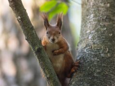 24 квітня дощів в Україні стане менше, але не потеплішає 24-квітня-дощів-в-Україні-стане-менше,-але-не-потеплішає