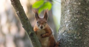 24 квітня дощів в Україні стане менше, але не потеплішає 24-квітня-дощів-в-Україні-стане-менше,-але-не-потеплішає