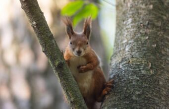 24 квітня дощів в Україні стане менше, але не потеплішає 24-квітня-дощів-в-Україні-стане-менше,-але-не-потеплішає