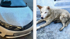 Екологічна катастрофа в Туапсе: наслідки нафтового дощу після атак ЗСУ “Курортний-сезон-закінчився-так-і-не-почавшись”-Як-живе-Туапсе,-де-горить-нафта-після-ударів.