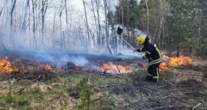 На Волині пожежники наклали на порушників майже 100 штрафів На-Волині-пожежники-наклали-на-порушників-майже-100-штрафів