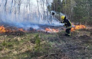 На Волині пожежники наклали на порушників майже 100 штрафів На-Волині-пожежники-наклали-на-порушників-майже-100-штрафів
