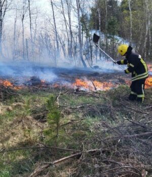 На-Волині-пожежники-наклали-на-порушників-майже-100-штрафів