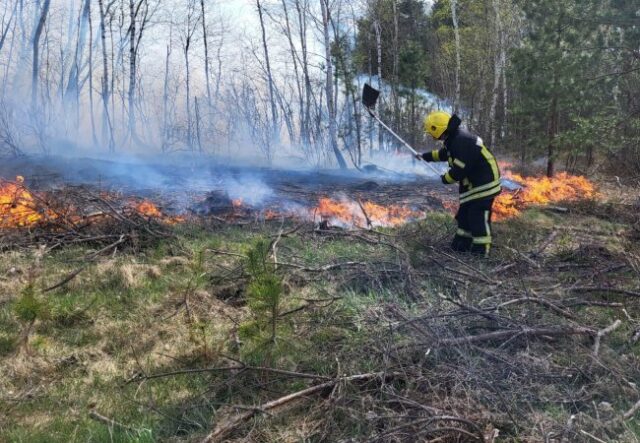 На Волині пожежники наклали на порушників майже 100 штрафів На-Волині-пожежники-наклали-на-порушників-майже-100-штрафів