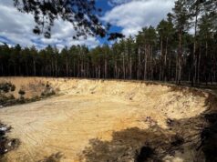 На території лісогосподарського підприємства на Волині виявили незаконний видобуток піску На-території-лісогосподарського-підприємства-на-Волині-виявили-незаконний-видобуток-піску