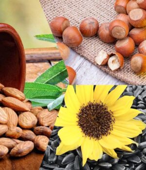 4-продукти,-в-яких-вітаміну-Е-набагато-більше,-ніж-у-мигдалі