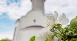 25 квітня: Дідова субота – що вважається доброю прикметою цього дня 25-квітня:-Дідова-субота-–-що-вважається-доброю-прикметою-цього-дня