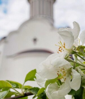 25-квітня:-Дідова-субота-–-що-вважається-доброю-прикметою-цього-дня